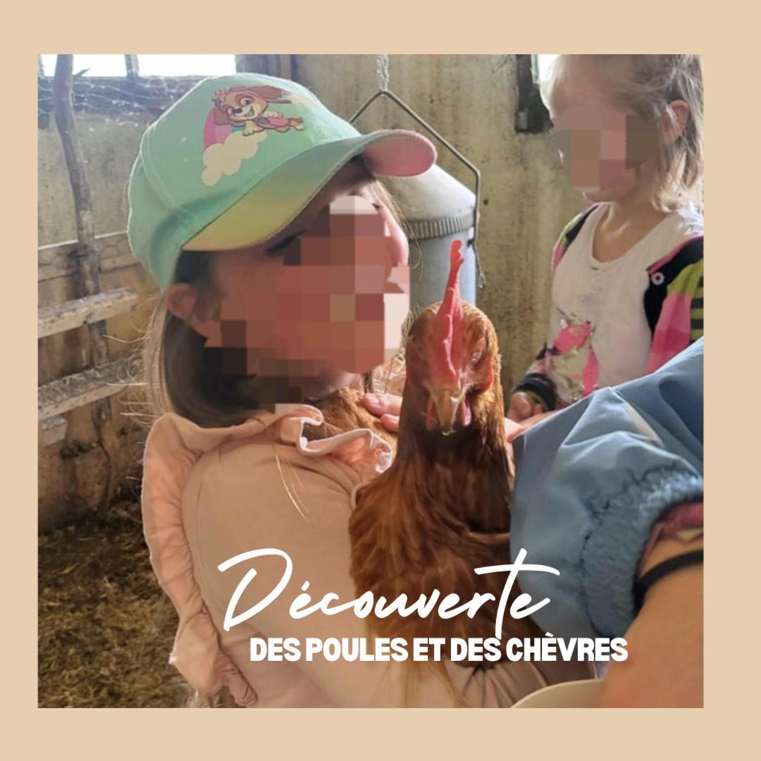 Courcelon La Ferme Du Solvat 아파트 외부 사진