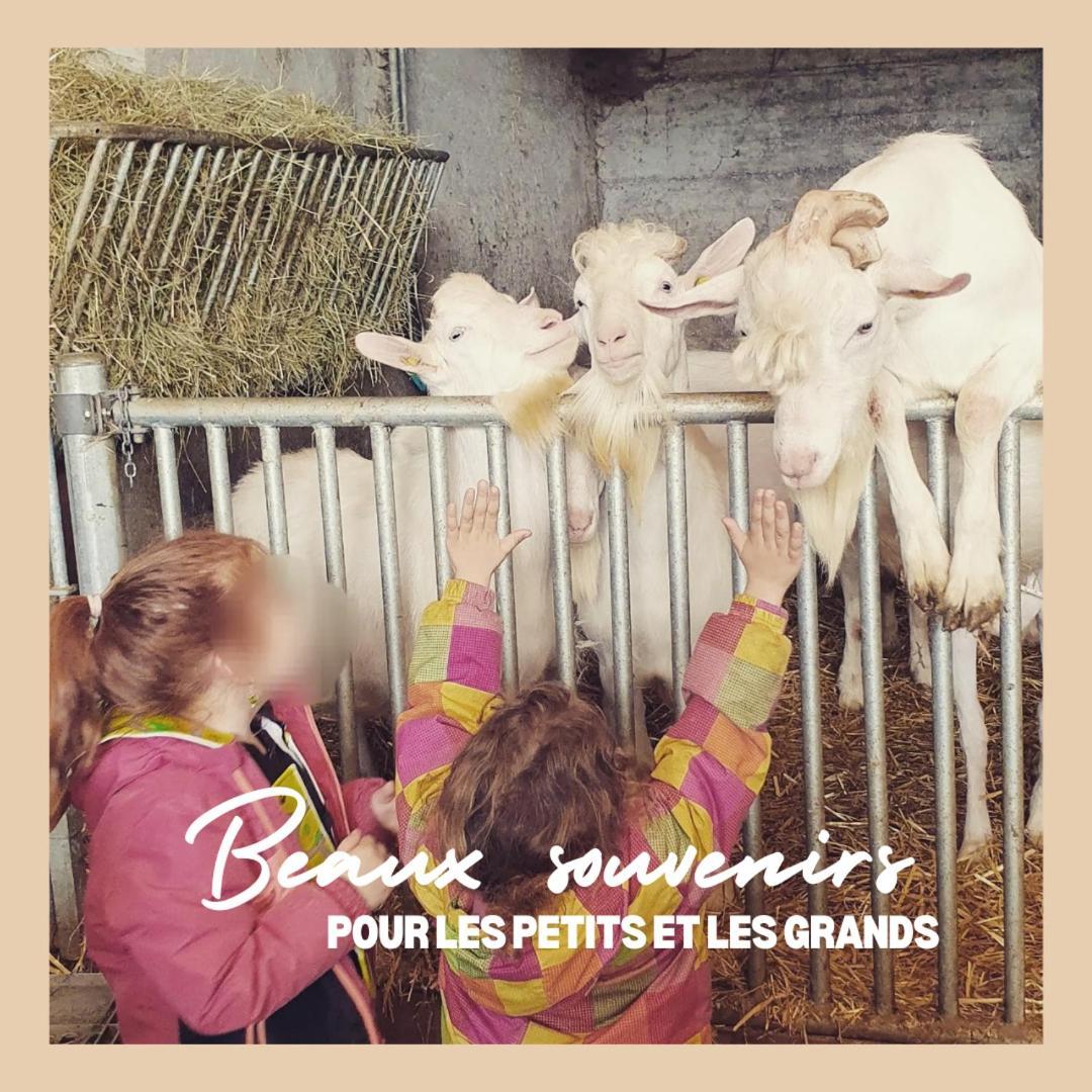 Courcelon La Ferme Du Solvat 아파트 외부 사진