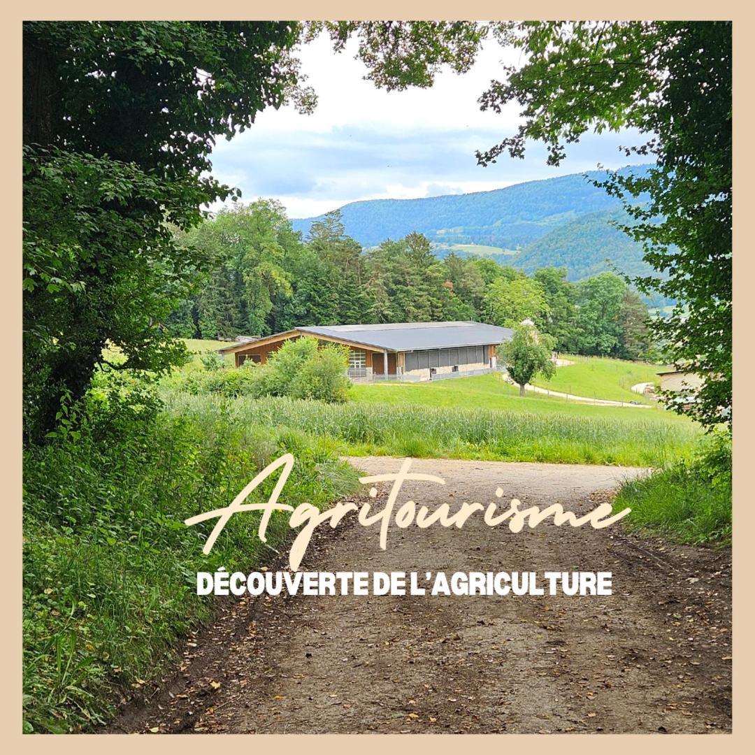 Courcelon La Ferme Du Solvat 아파트 외부 사진